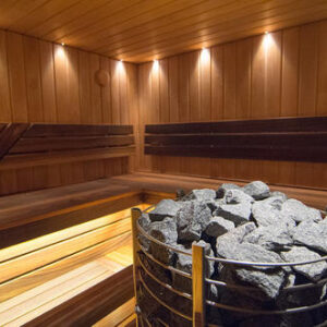 sauna-heater-stones