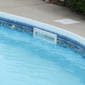 Skimmer