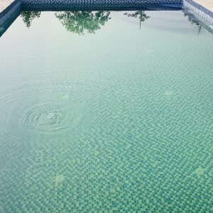 Swimming Pool Munshigonj