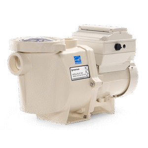 Pentair Pool Pump in Bangladesh