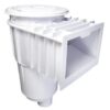Pool Wall Skimmer Bangladesh