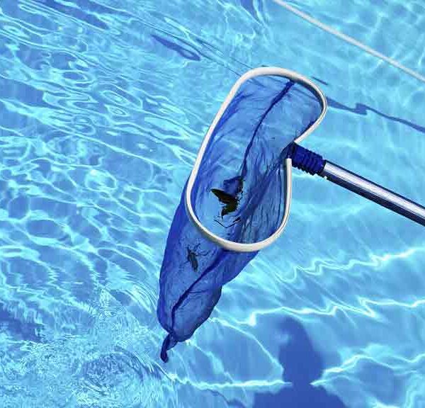 Swimming Pool Cleaning Service in Dhaka, Bangladesh