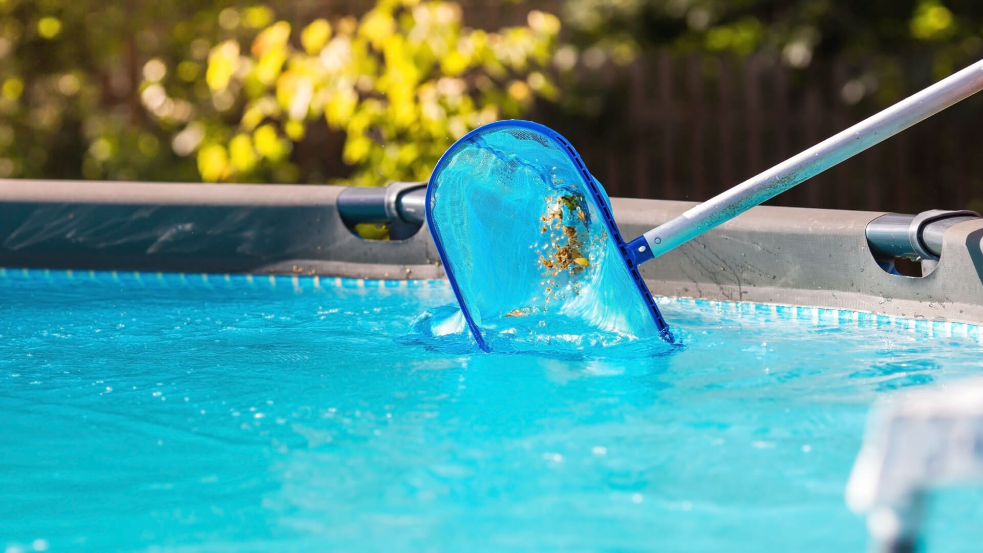 Swimming Pool Maintenance in Bangladesh Swimming Pool Maintenance in Bangladesh