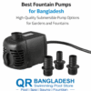 Best Fountain Pumps for Bangladesh