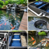 Koi Pond Filtration System