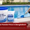 Chlorine Powder