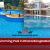 Best Swimming Pool