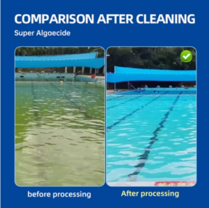 Bows Super Algaecide 1L